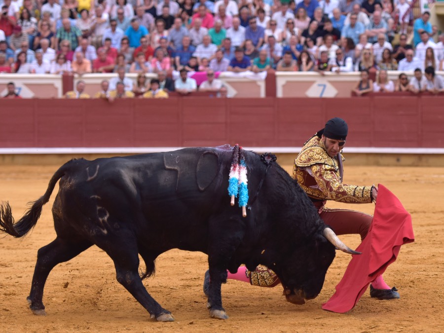Cuenca, 19 de agosto de 2018