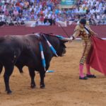 Cuenca, 19 de agosto de 2018