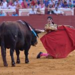 Cuenca, 19 de agosto de 2018