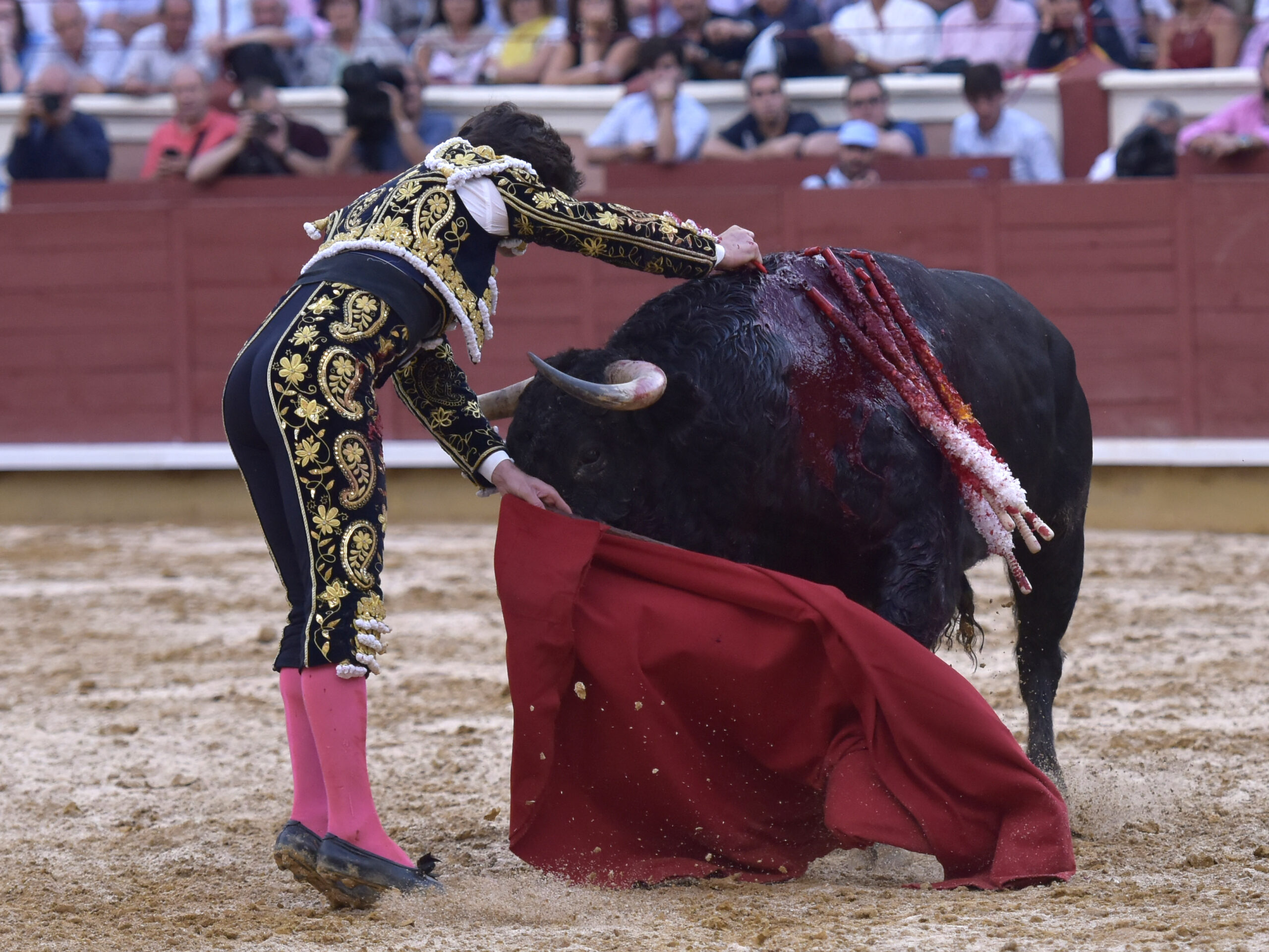 Cuenca, 22 de agosto de 2018