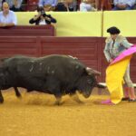 Lisboa, 23 de gosto de 2018