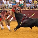 Lisboa, 23 de gosto de 2018