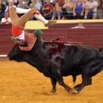 Lisboa, 23 de gosto de 2018