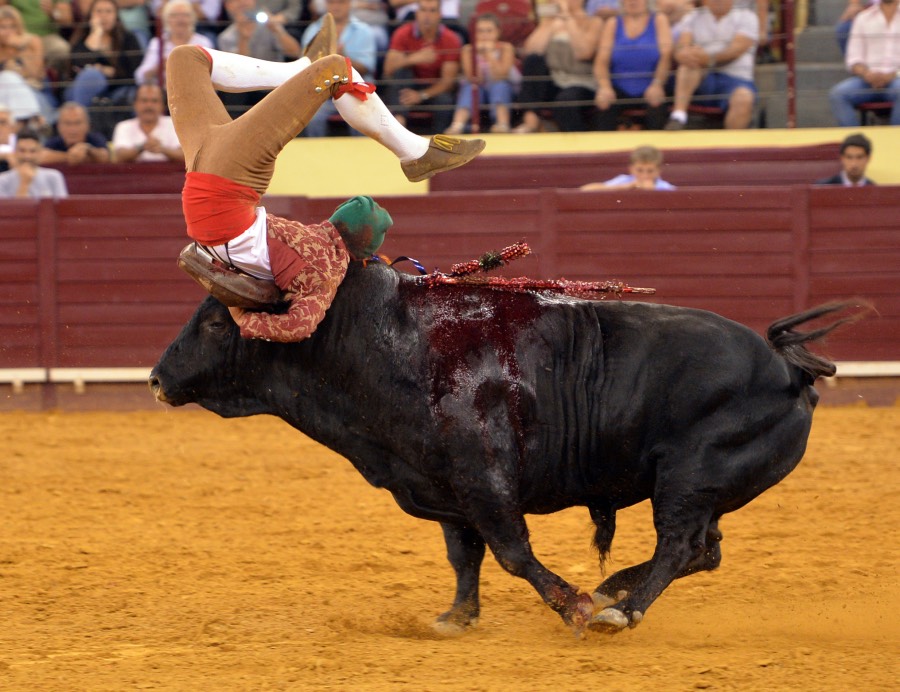 Lisboa, 23 de gosto de 2018