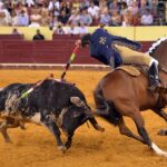 Lisboa, 23 de gosto de 2018