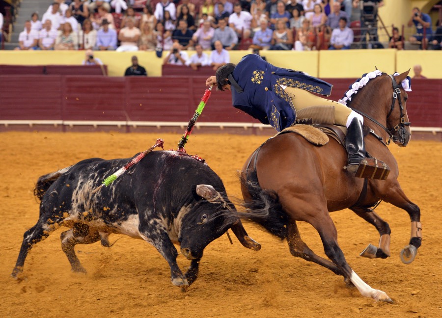Lisboa, 23 de gosto de 2018