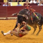 Lisboa, 23 de gosto de 2018