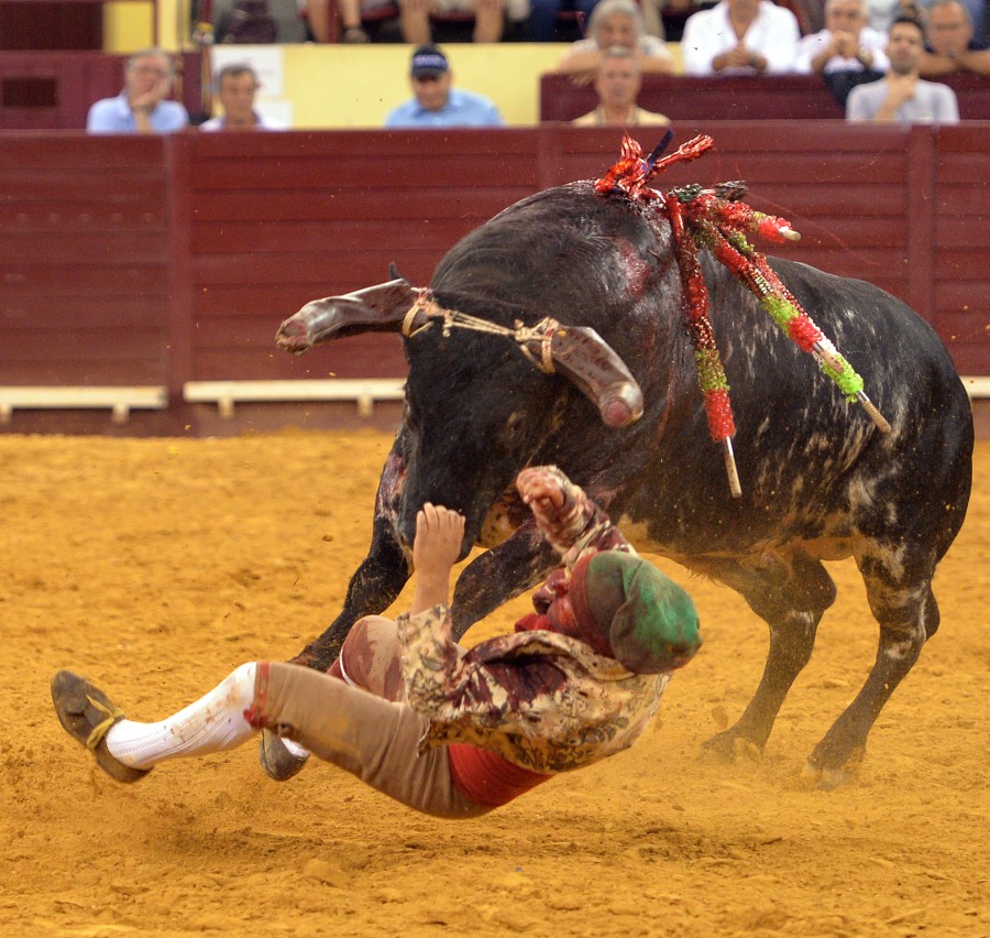 Lisboa, 23 de gosto de 2018