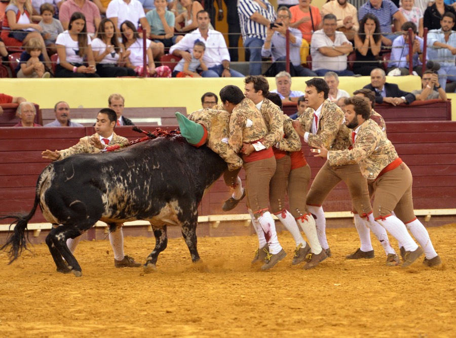 Lisboa, 23 de gosto de 2018