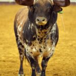 Lisboa, 23 de gosto de 2018