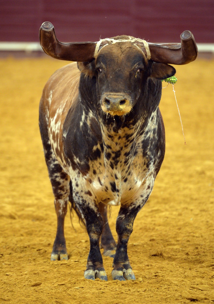 Lisboa, 23 de gosto de 2018