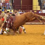 Lisboa, 23 de gosto de 2018