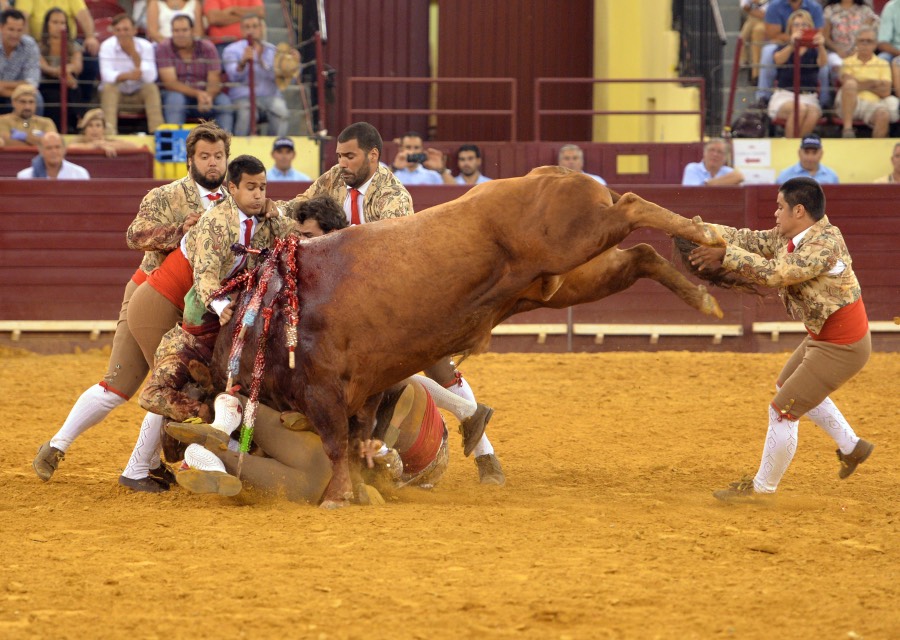 Lisboa, 23 de gosto de 2018