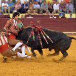 Lisboa, 23 de gosto de 2018