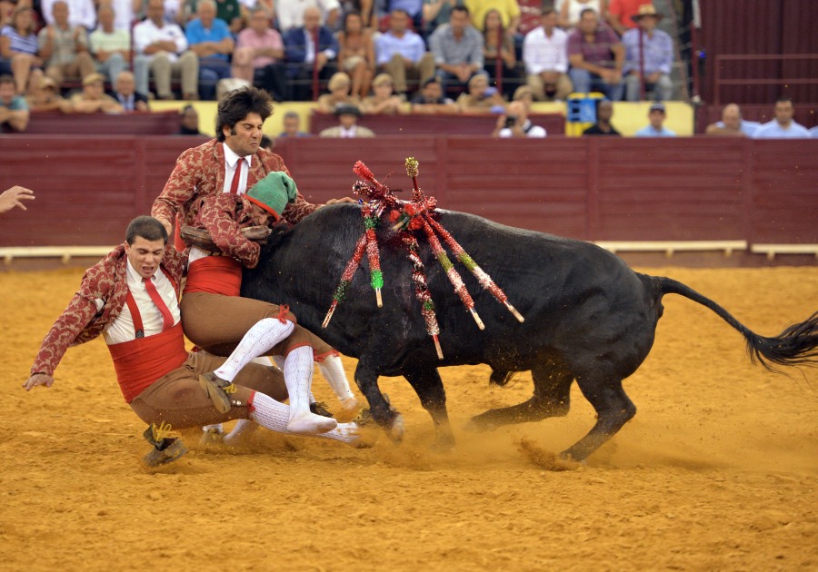 Lisboa, 23 de gosto de 2018