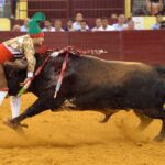 Lisboa, 23 de gosto de 2018