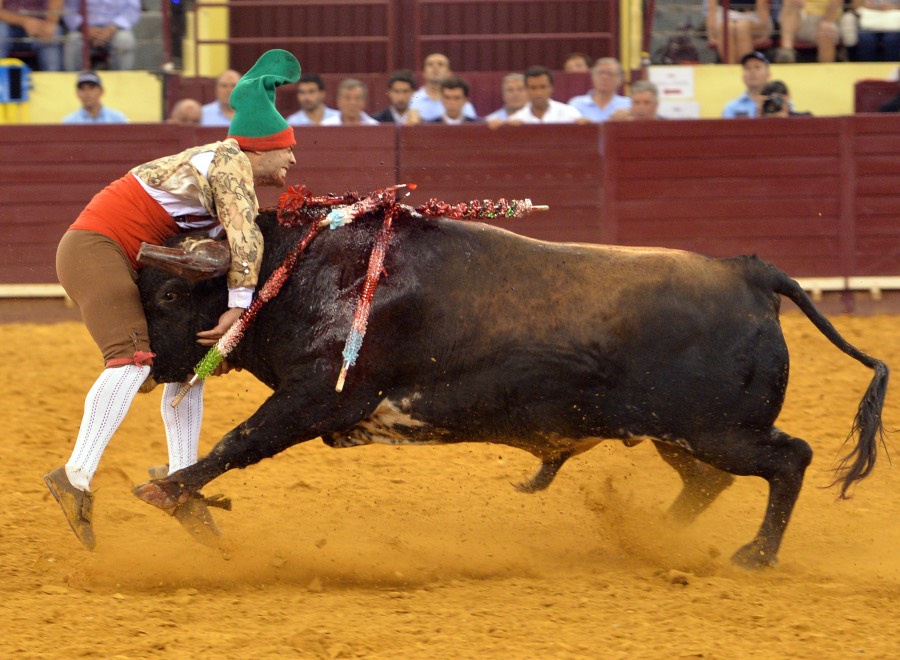 Lisboa, 23 de gosto de 2018