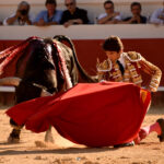 Beziers (Francia) - Corrida de toros - Sábado 11 de agosto de 2018
