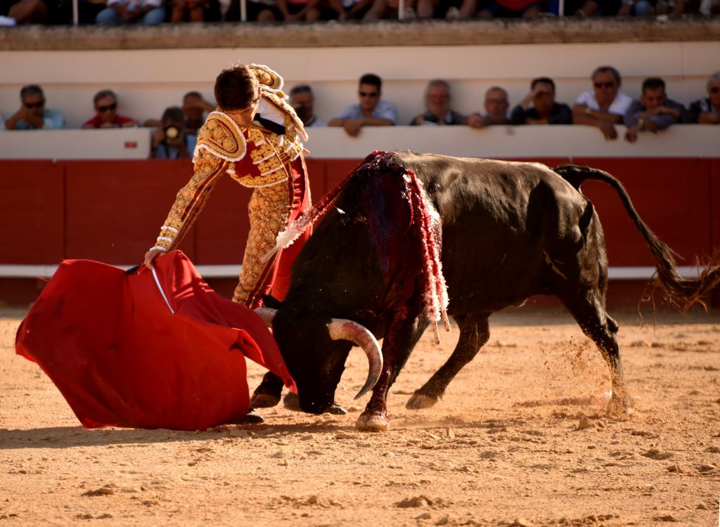 Beziers (Francia) - Corrida de toros - Sábado 11 de agosto de 2018