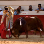 Beziers (Francia) - Corrida de toros - Sábado 11 de agosto de 2018