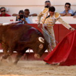 Beziers (Francia) - Corrida de toros - Sábado 11 de agosto de 2018