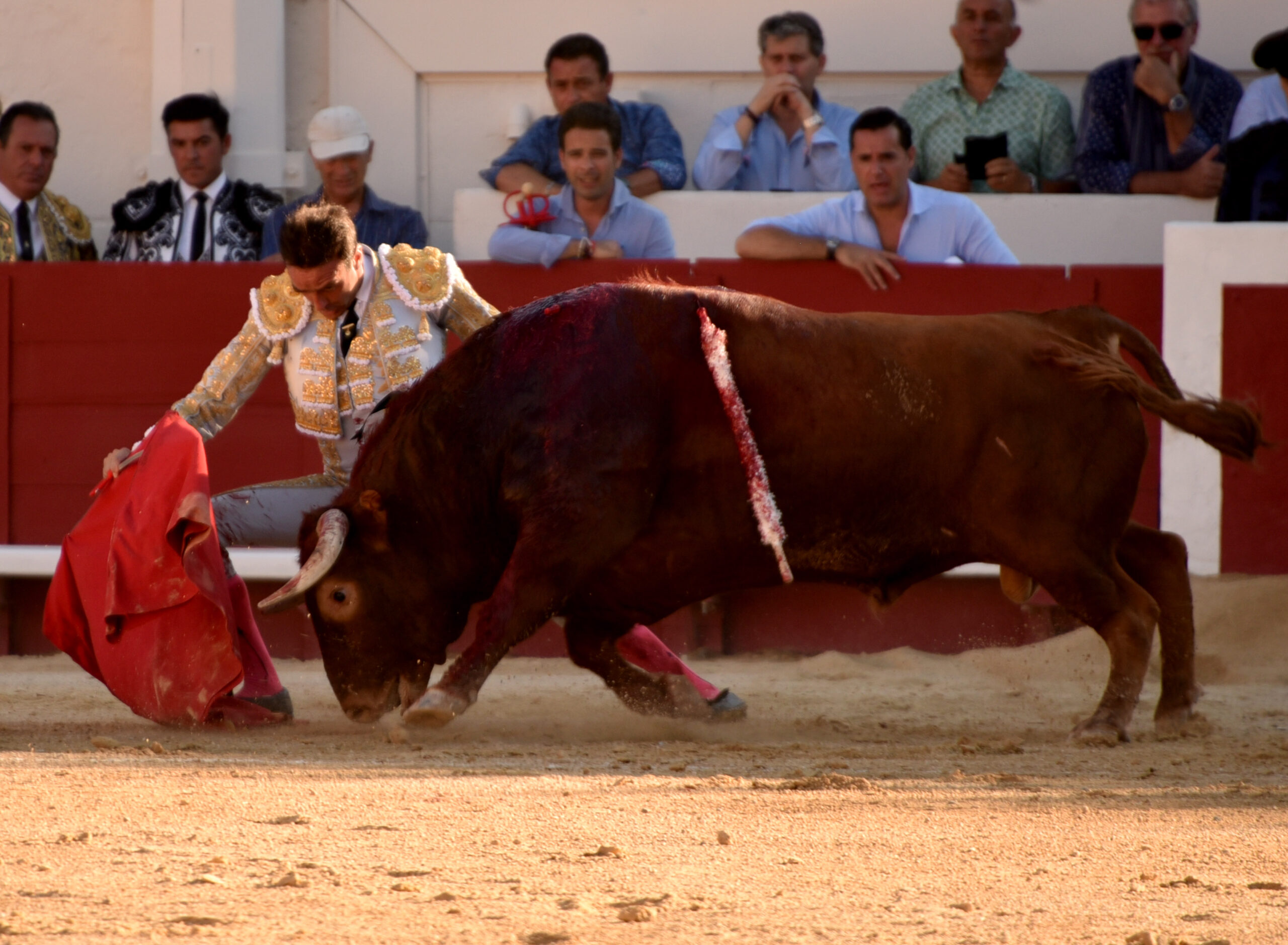 Beziers (Francia) - Corrida de toros - Sábado 11 de agosto de 2018