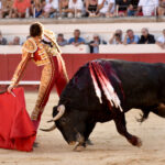 Beziers (Francia) - Corrida de toros - Sábado 11 de agosto de 2018