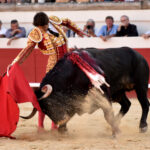 Beziers (Francia) - Corrida de toros - Sábado 11 de agosto de 2018