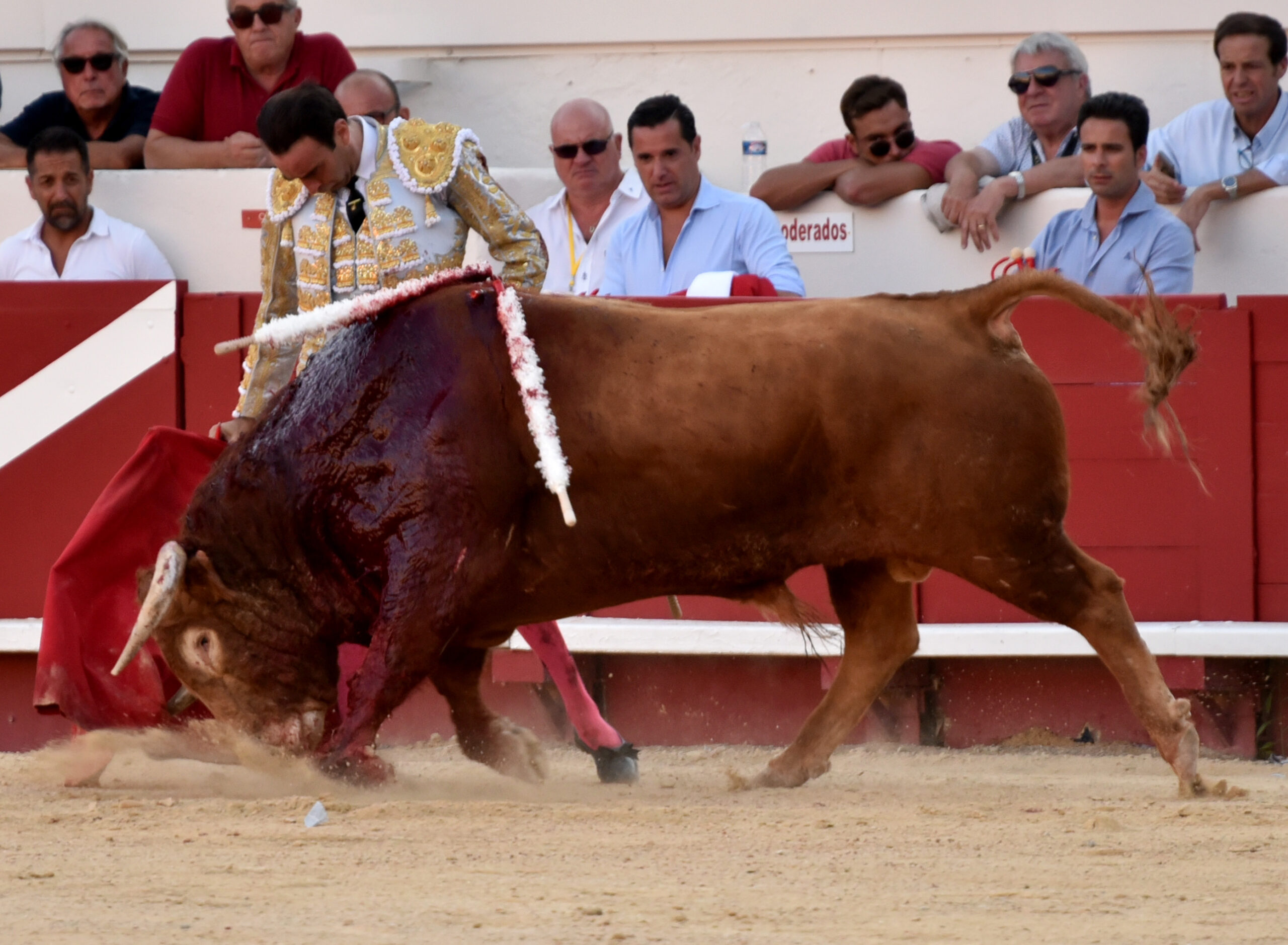 Beziers (Francia) - Corrida de toros - Sábado 11 de agosto de 2018