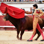 Beziers (Francia) - Corrida de toros - Sábado 11 de agosto de 2018