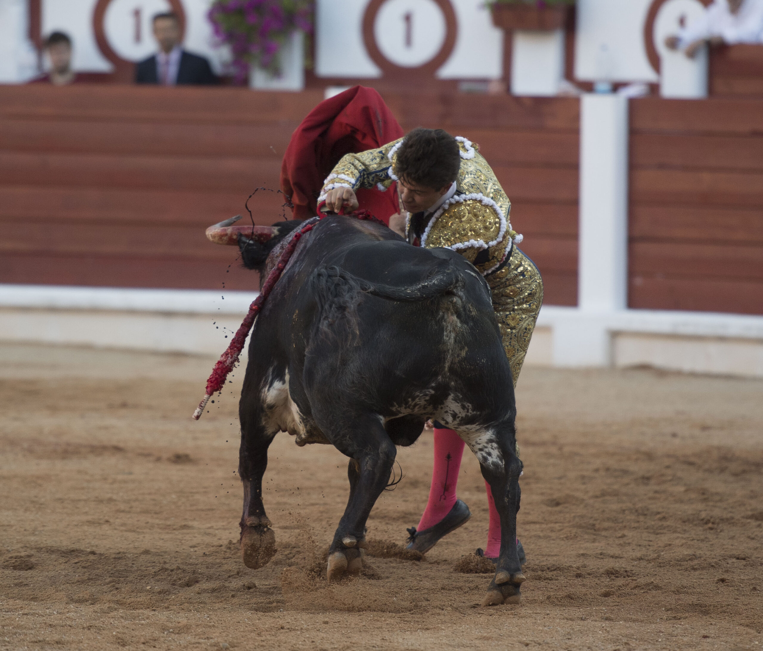 Gijón, 10 de agosto de 2018