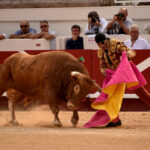 Beziers - Corrida de toros - Domingo 12 de agosto de 2018