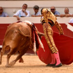 Beziers - Corrida de toros - Domingo 12 de agosto de 2018