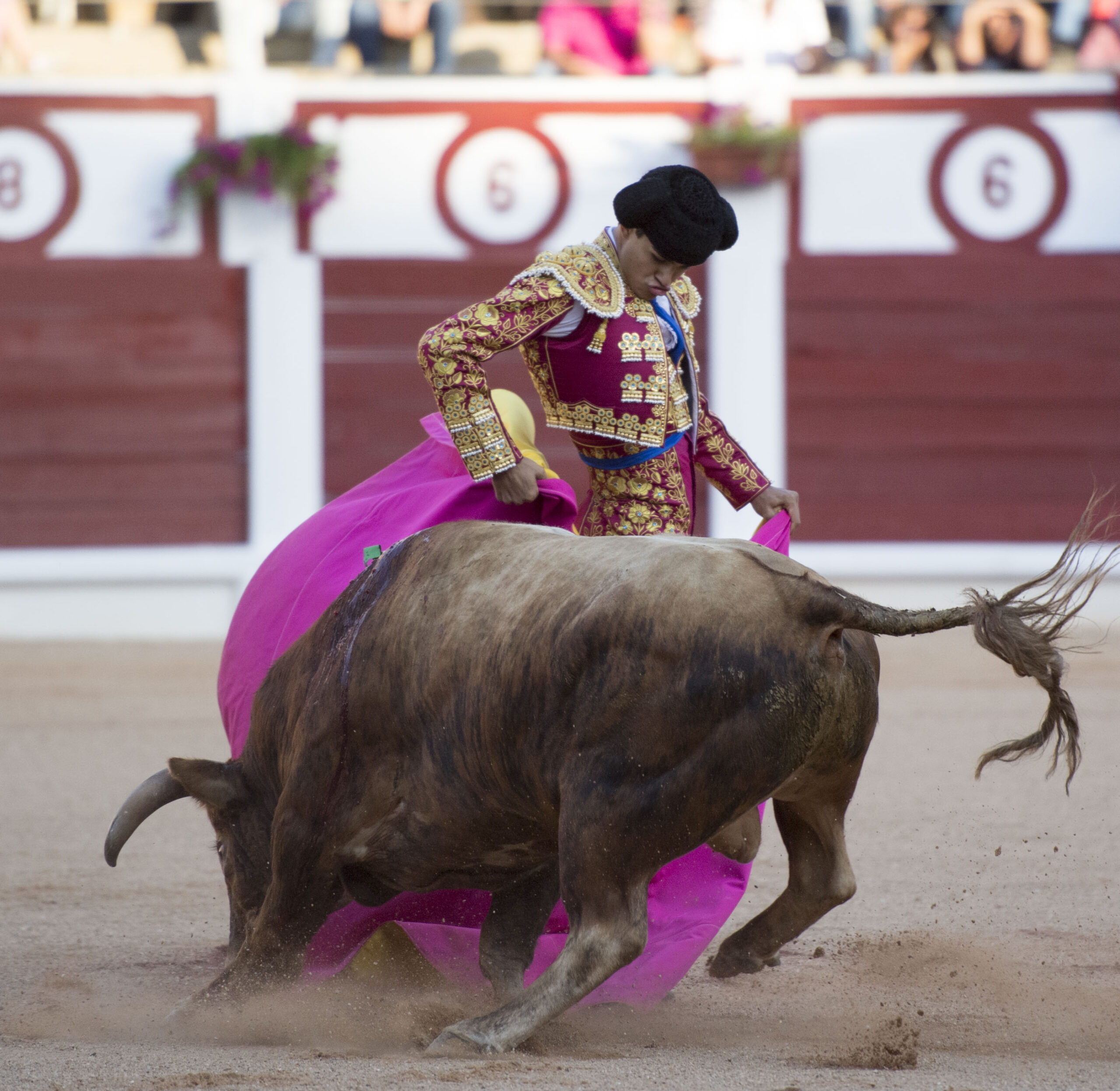 Gijón, 10 de agosto de 2018