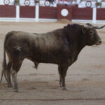 Gijón, 10 de agosto de 2018