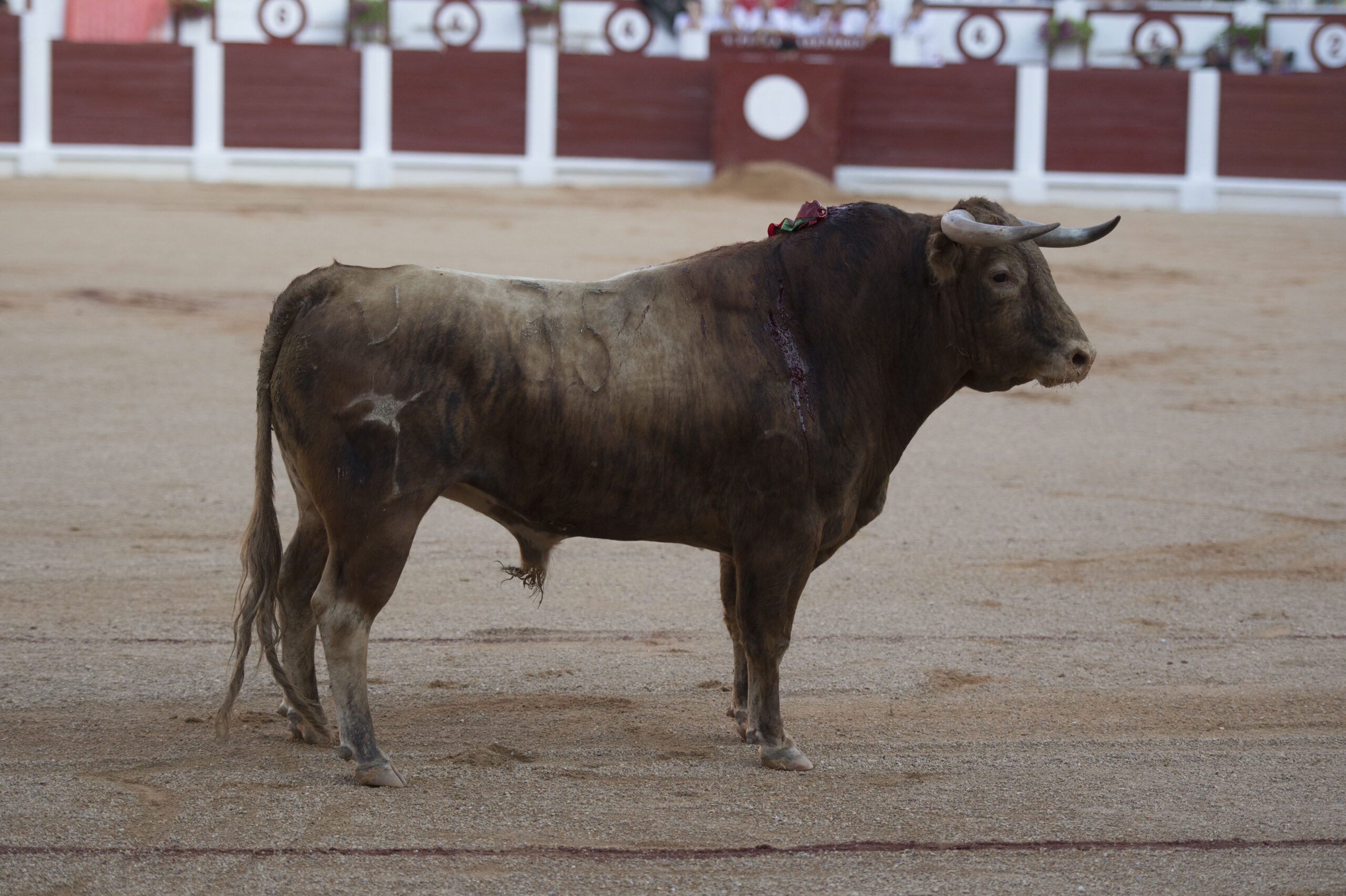 Gijón, 10 de agosto de 2018