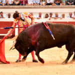 Beziers - Corrida de toros - Domingo 12 de agosto de 2018