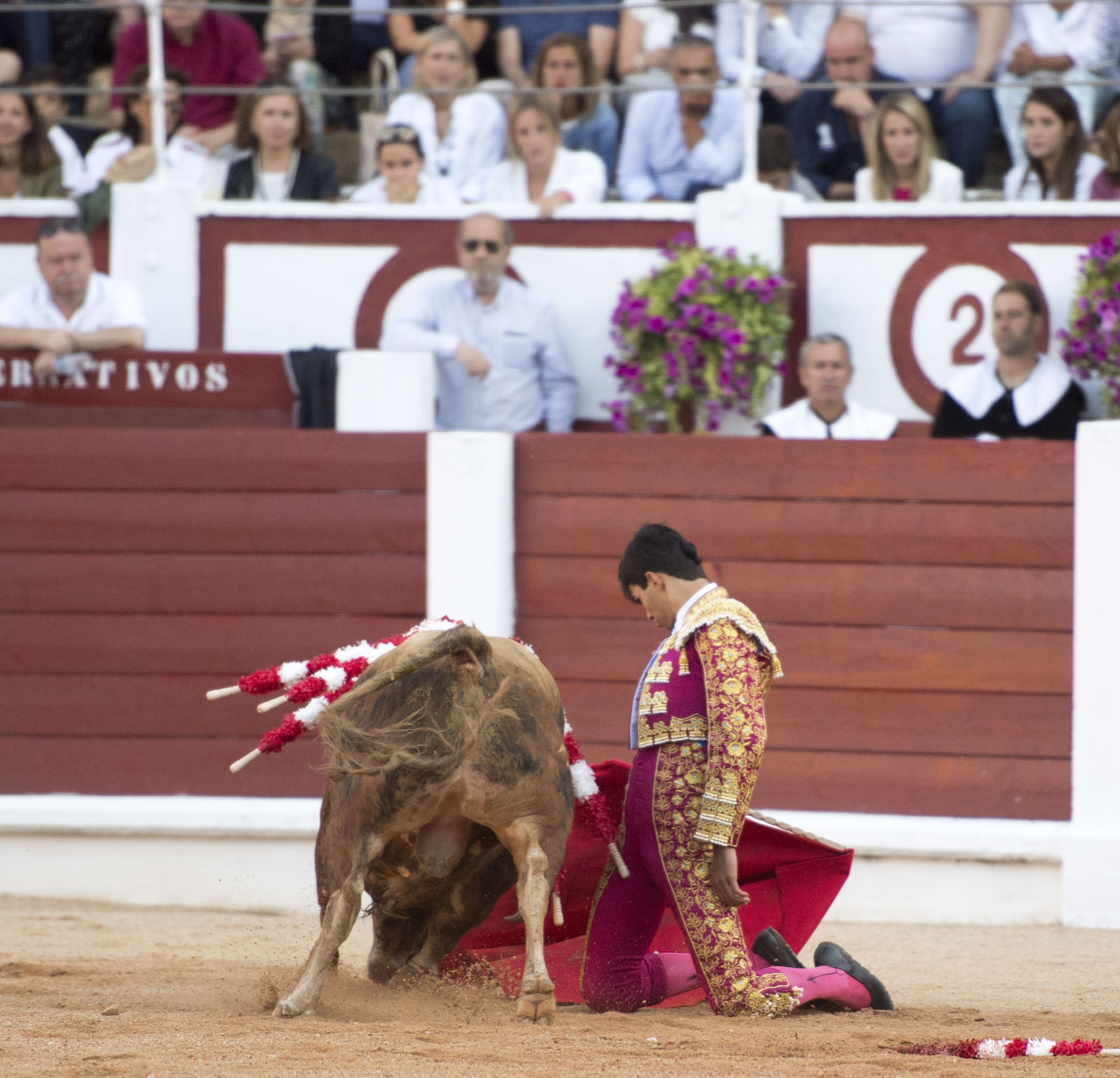 Gijón, 10 de agosto de 2018