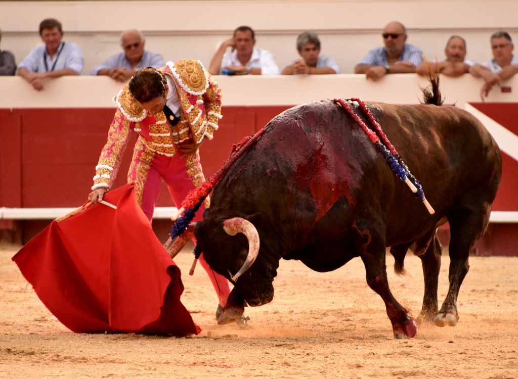 Beziers - Corrida de toros - Domingo 12 de agosto de 2018