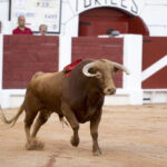 Gijón, 10 de agosto de 2018