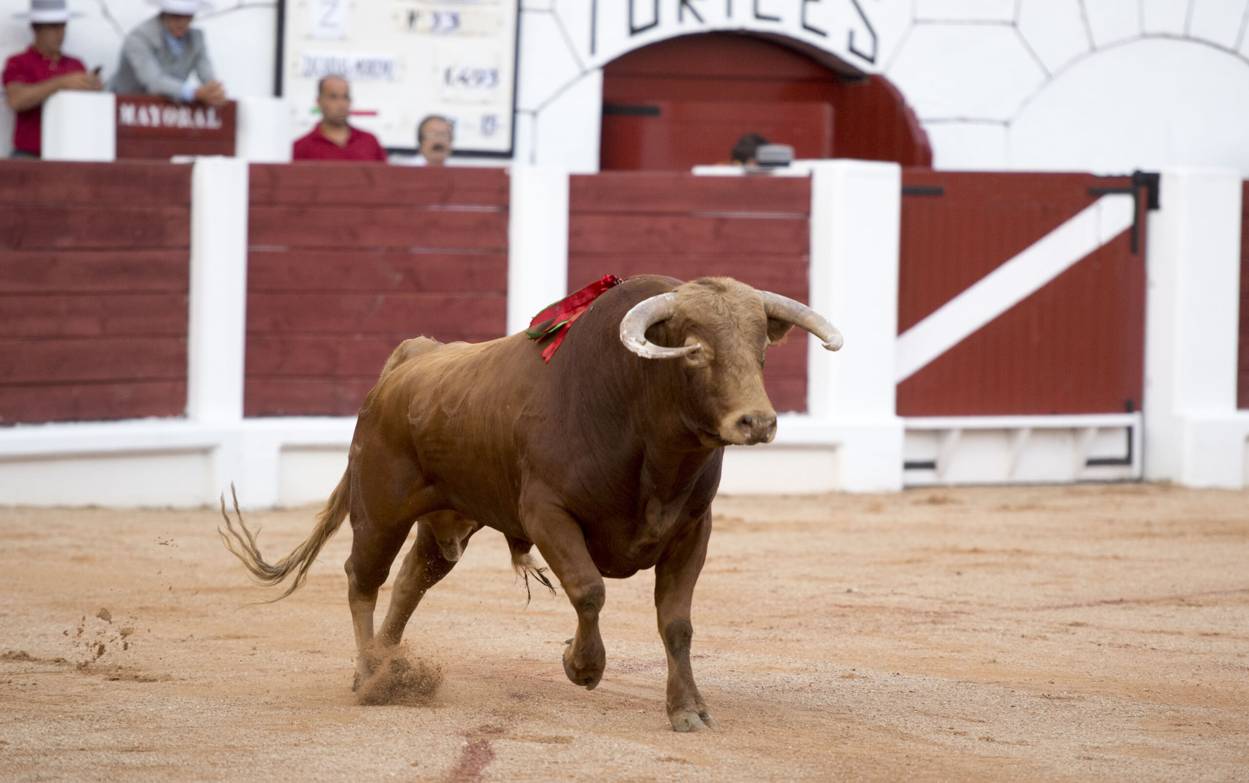 Gijón, 10 de agosto de 2018