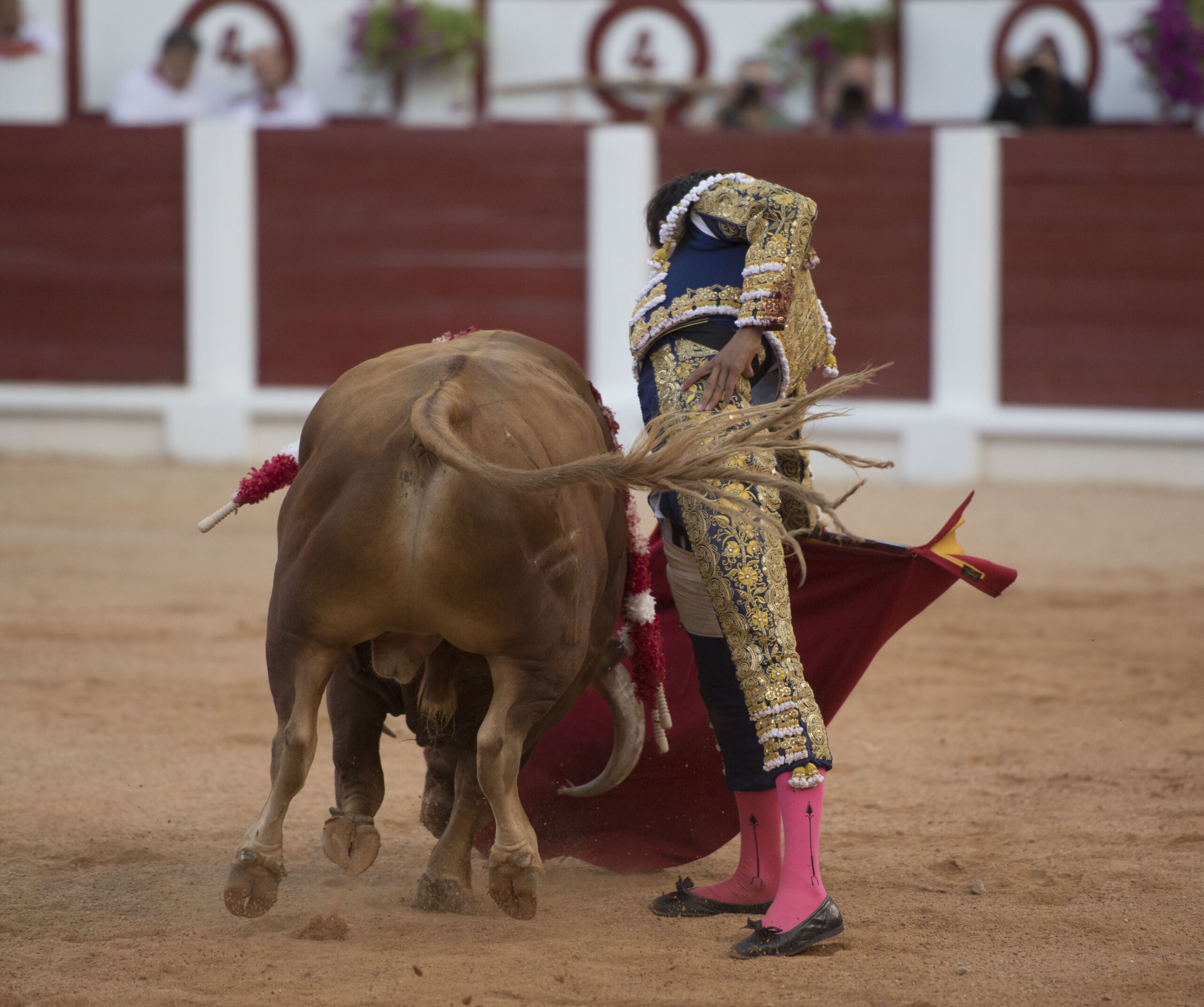 Gijón, 10 de agosto de 2018