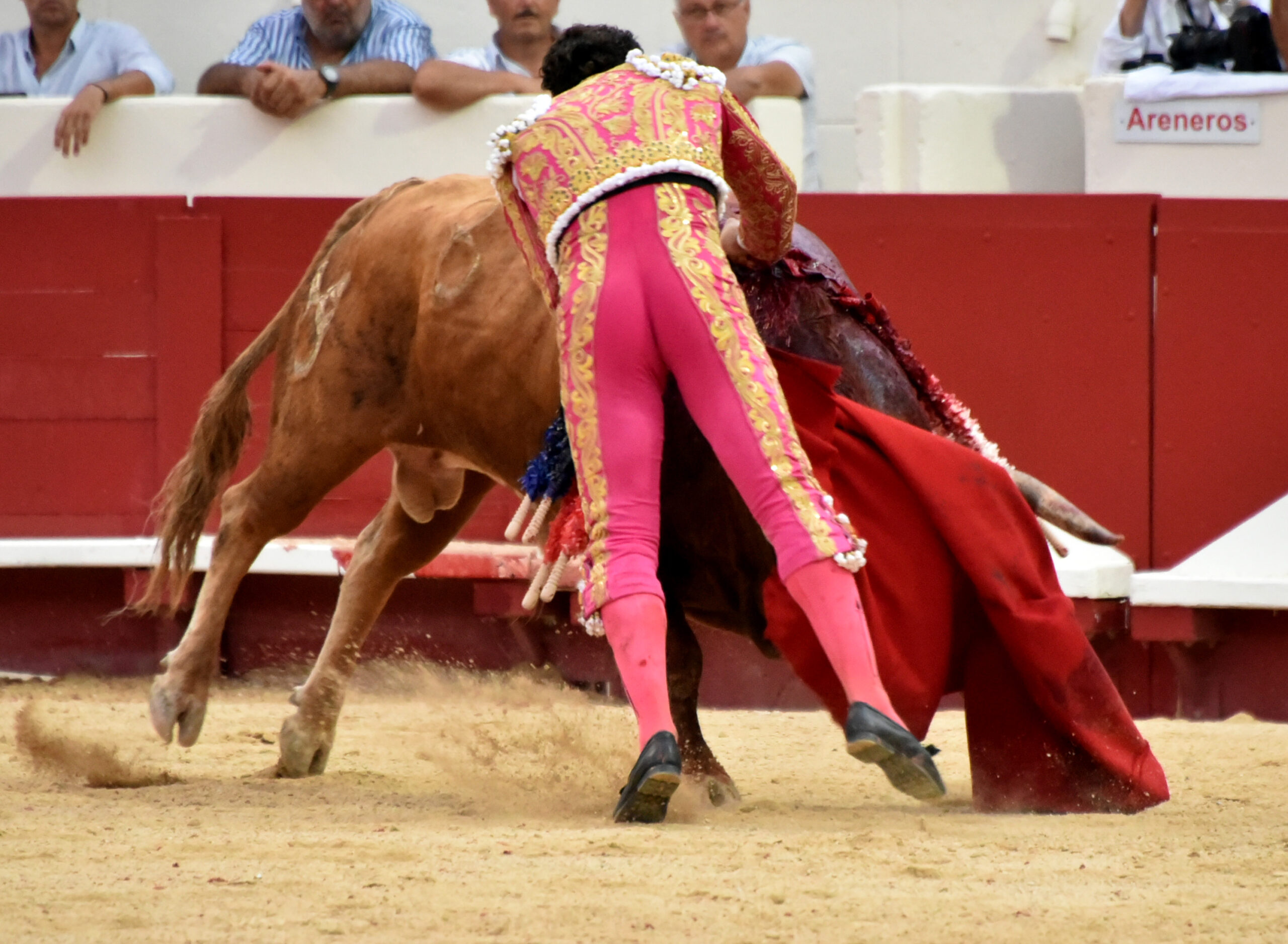 Beziers - Corrida de toros - Domingo 12 de agosto de 2018