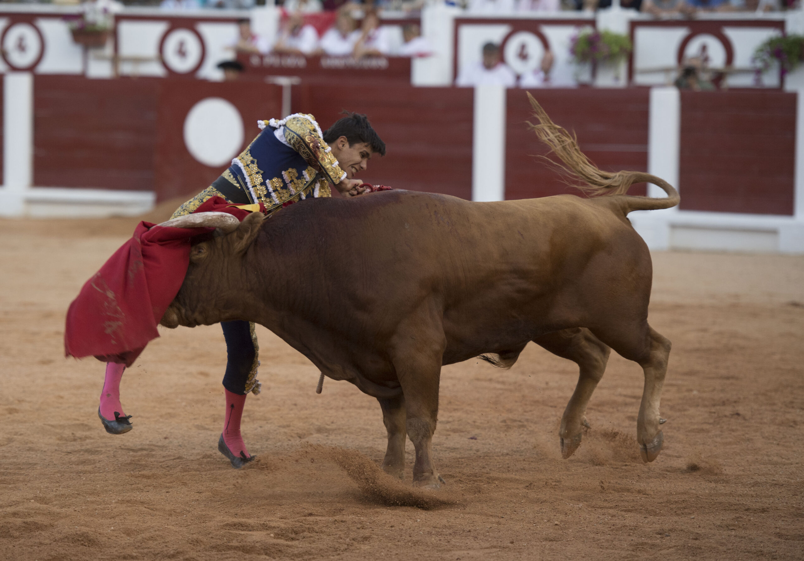 Gijón, 10 de agosto de 2018