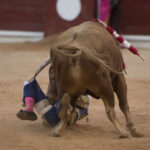 Gijón, 10 de agosto de 2018