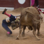 Gijón, 10 de agosto de 2018