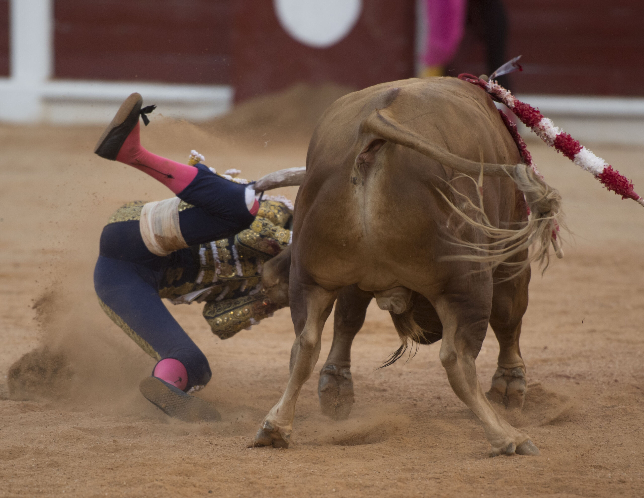 Gijón, 10 de agosto de 2018