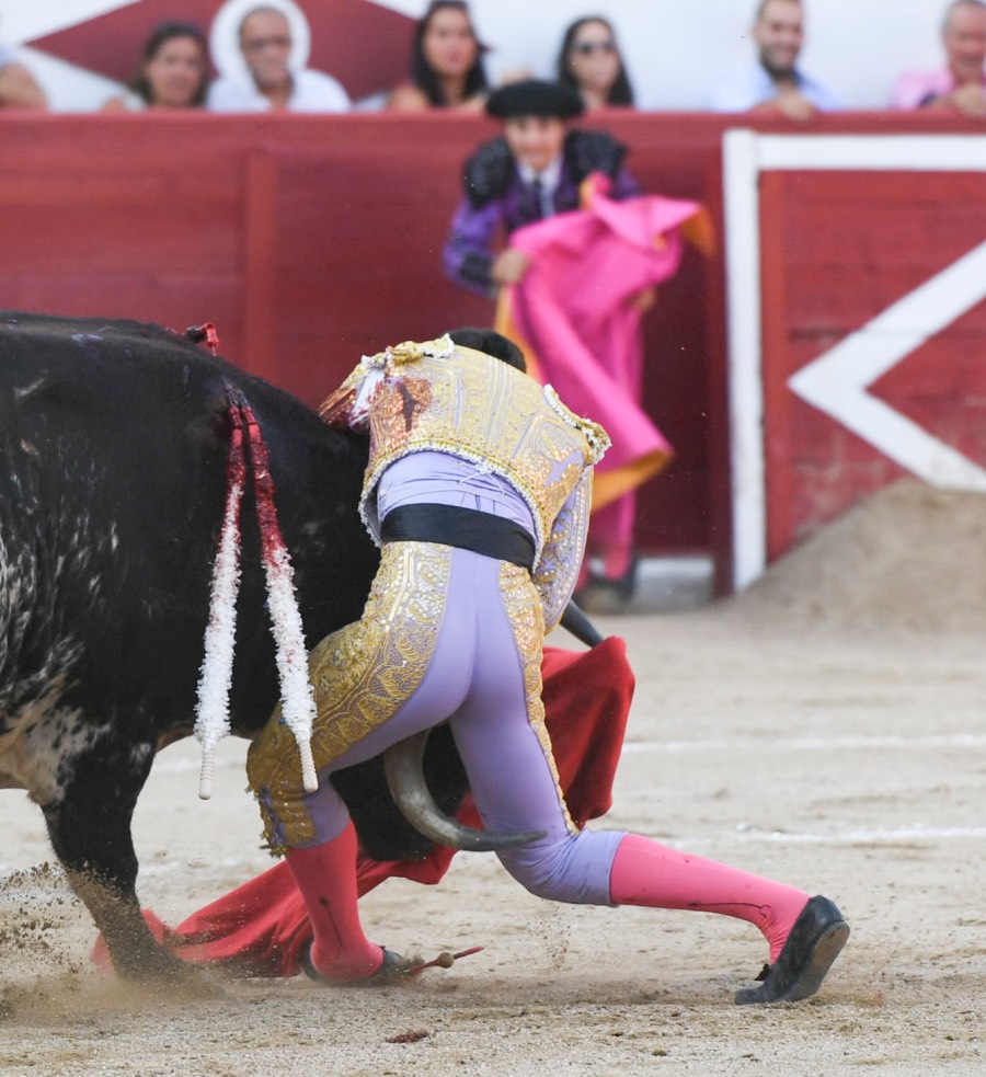 Gijón - Corrida de toros - Sábado 11 de agosto de 2018
