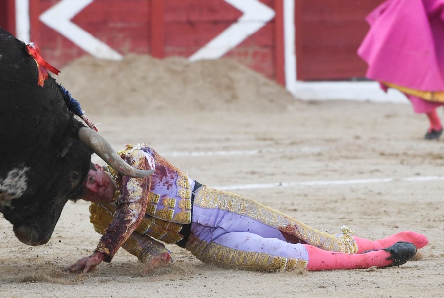 Gijón - Corrida de toros - Sábado 11 de agosto de 2018