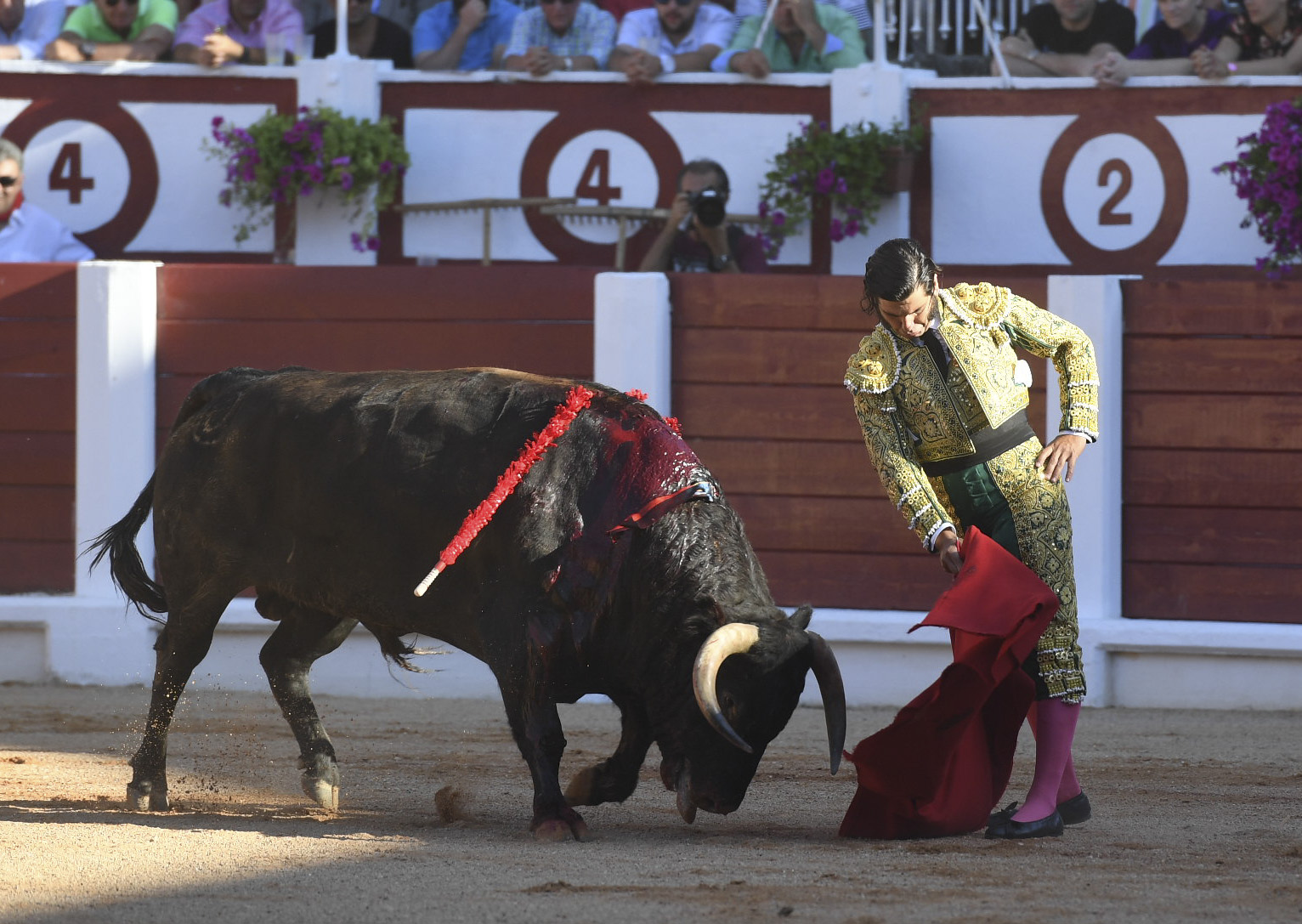 Gijón - Corrida de toros - Sábado 11 de agosto de 2018